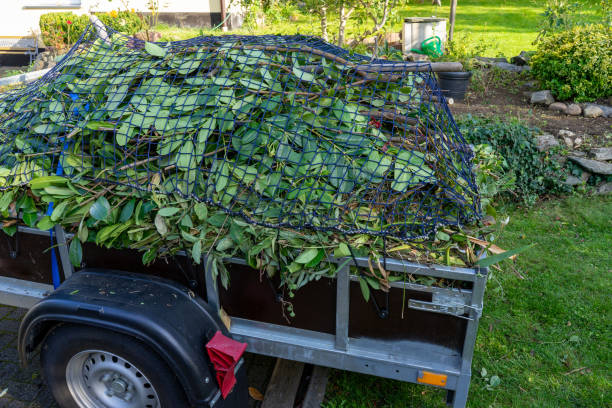 Best Moving and Downsizing Cleanouts  in Casselton, ND
